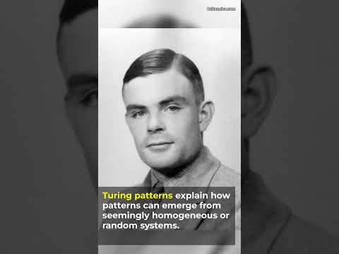 Patterns in Nature Explained by Math!🐆 Alan Turing, Turing Patterns #shorts #maths #biology