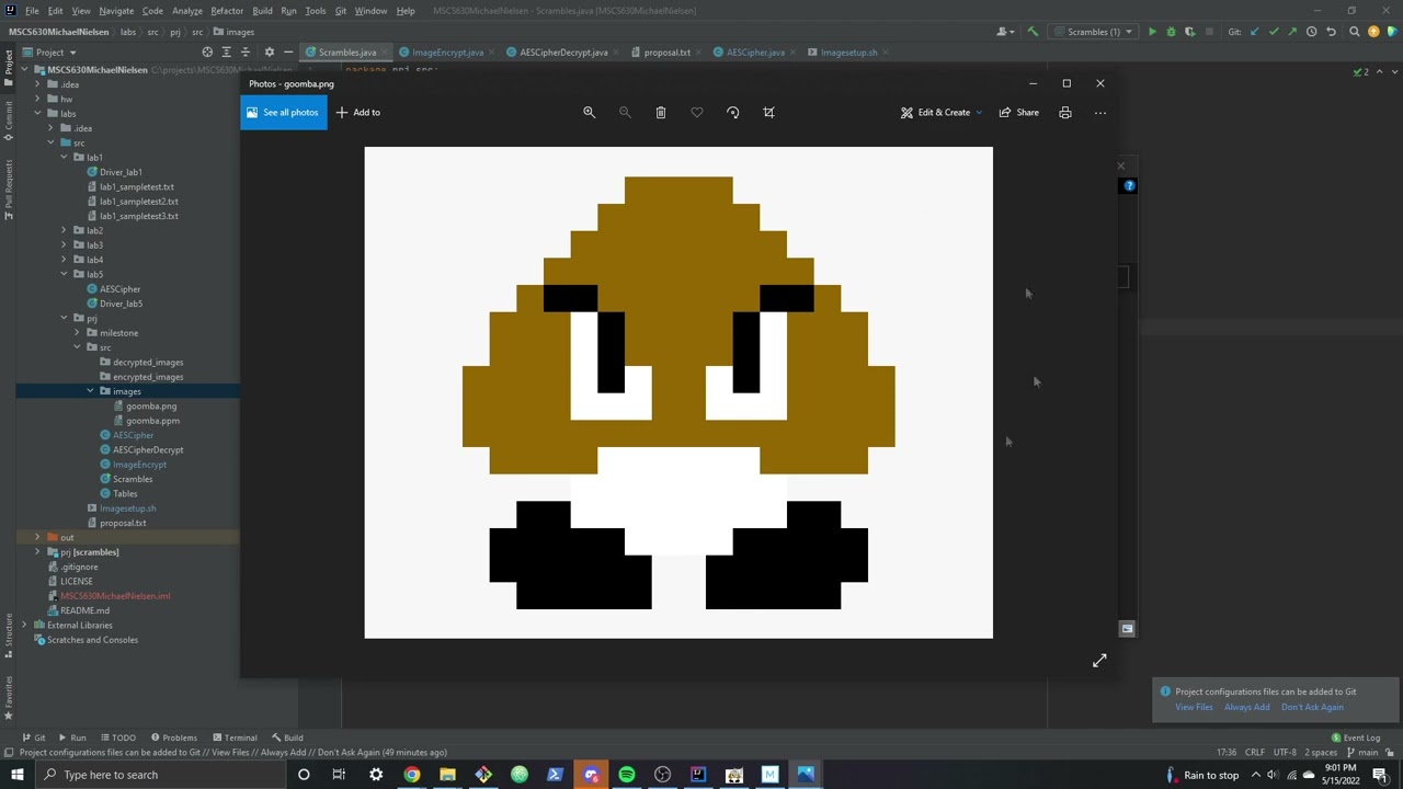 Secure Your Images with Advanced Encryption 🌐