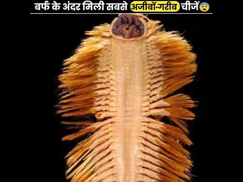 बर्फ के अंदर मिली सबसे अजीबों-गरीब चीजें 😨 | Strangest Things Found Under Ice | The Fact | #shorts