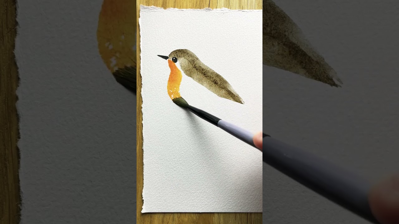Beginner's Robin Watercolor Painting 🖌️
