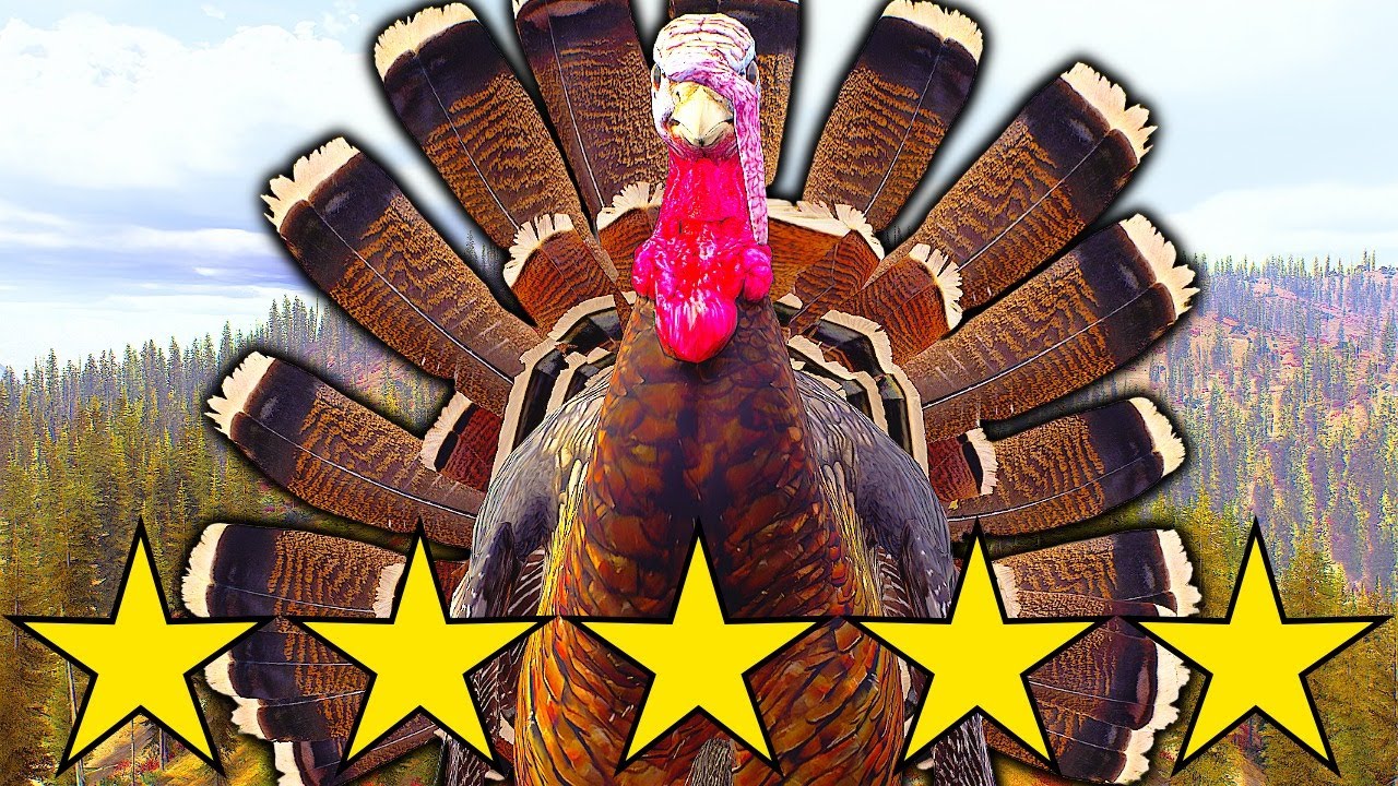 First Five Star Turkey | Way of the Hunter