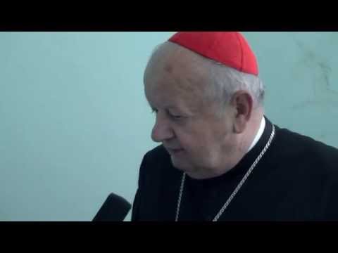 Kard. Dziwisz 10 lat metropolitą krakowskim