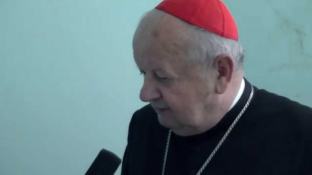 Kard. Dziwisz Obchodzi 10 Lat jako Metropolita Krakowski 🎉