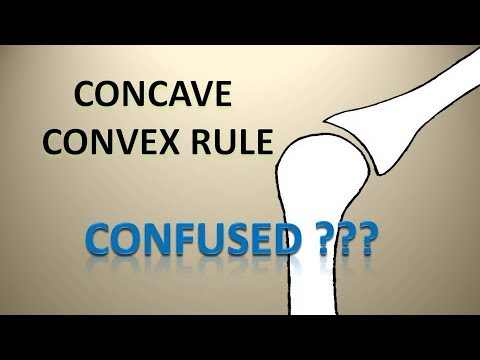 Concave-Convex Rule Simplified 🦴 Part 1