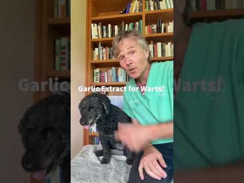 Garlic as a Wart Remedy? 🧄