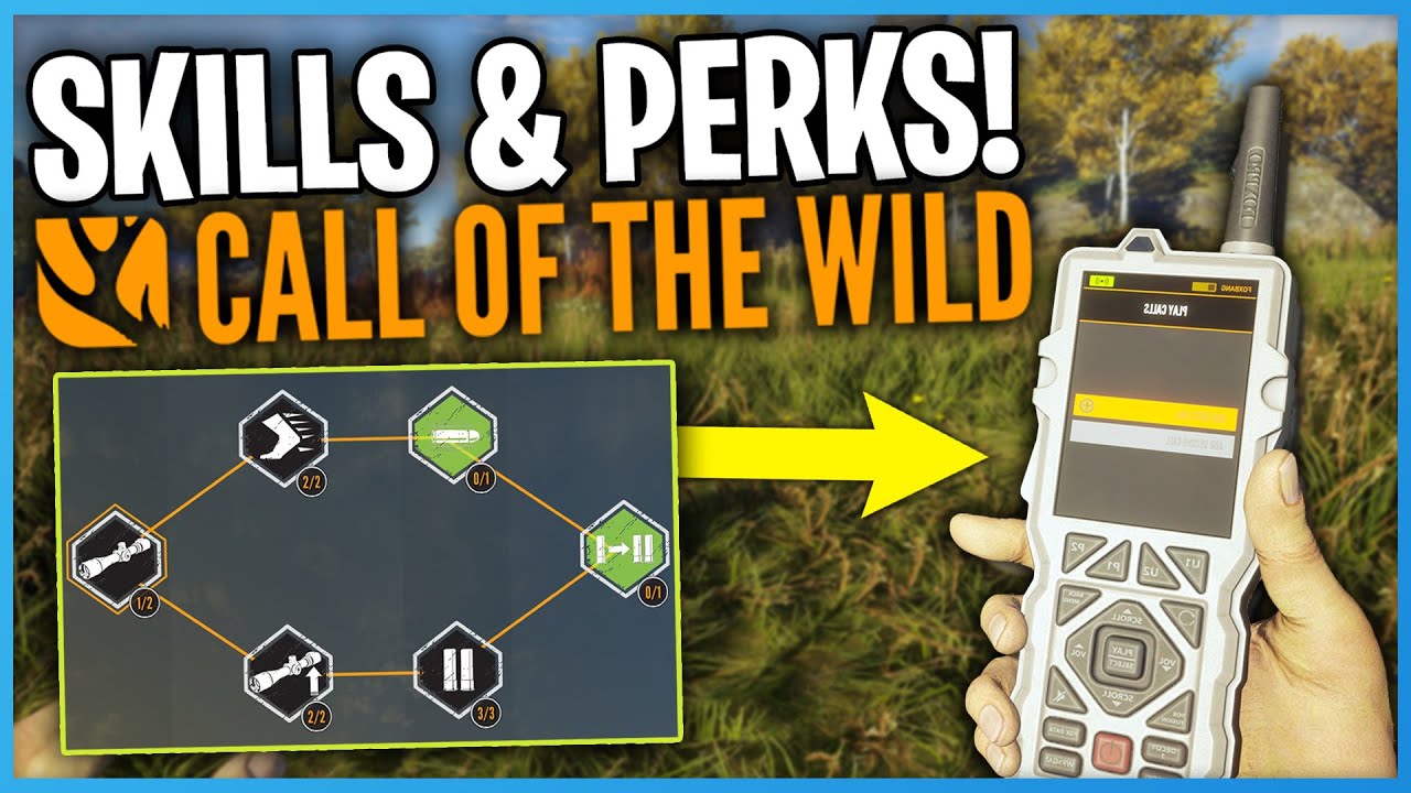 Top Skills & Perks Setup for Beginners 2025 🎯