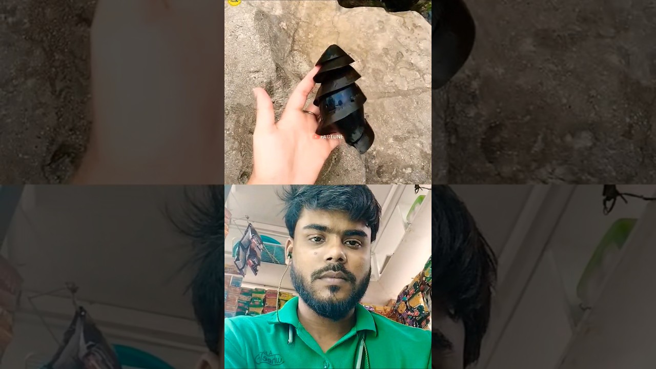 World's Most Unique Eggs 🥚 #shorts