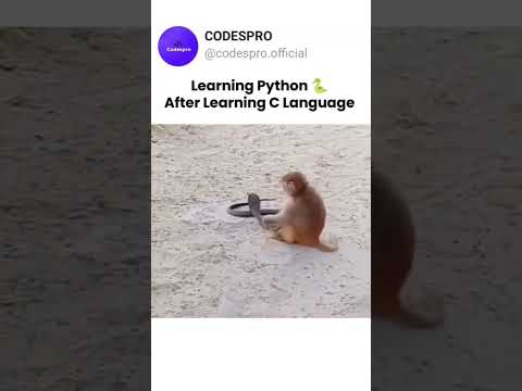 Learn python after learning C language ๐ #python #c #programming #coding #development #memes