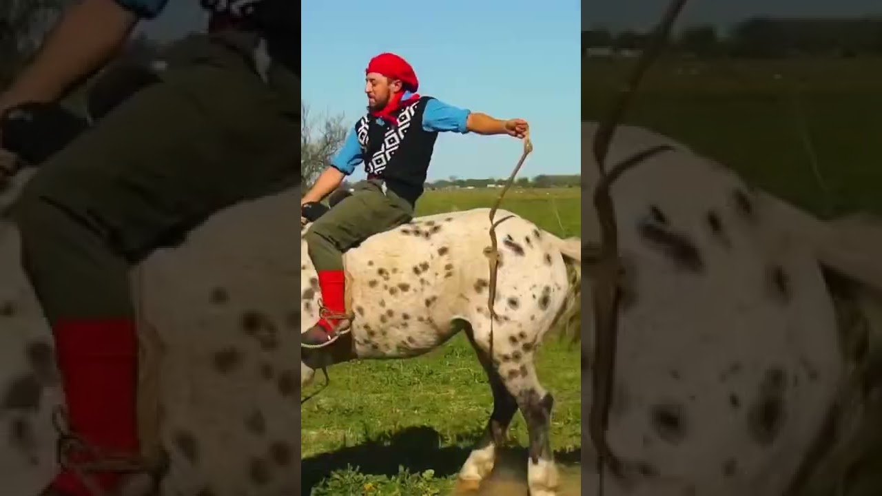 Estancias y Tradiciones: Celebrando la Cultura Local