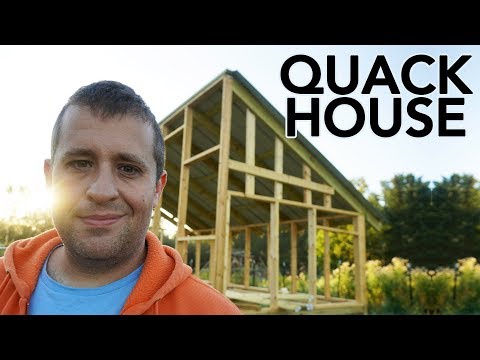 Designing the Ultimate Duck House