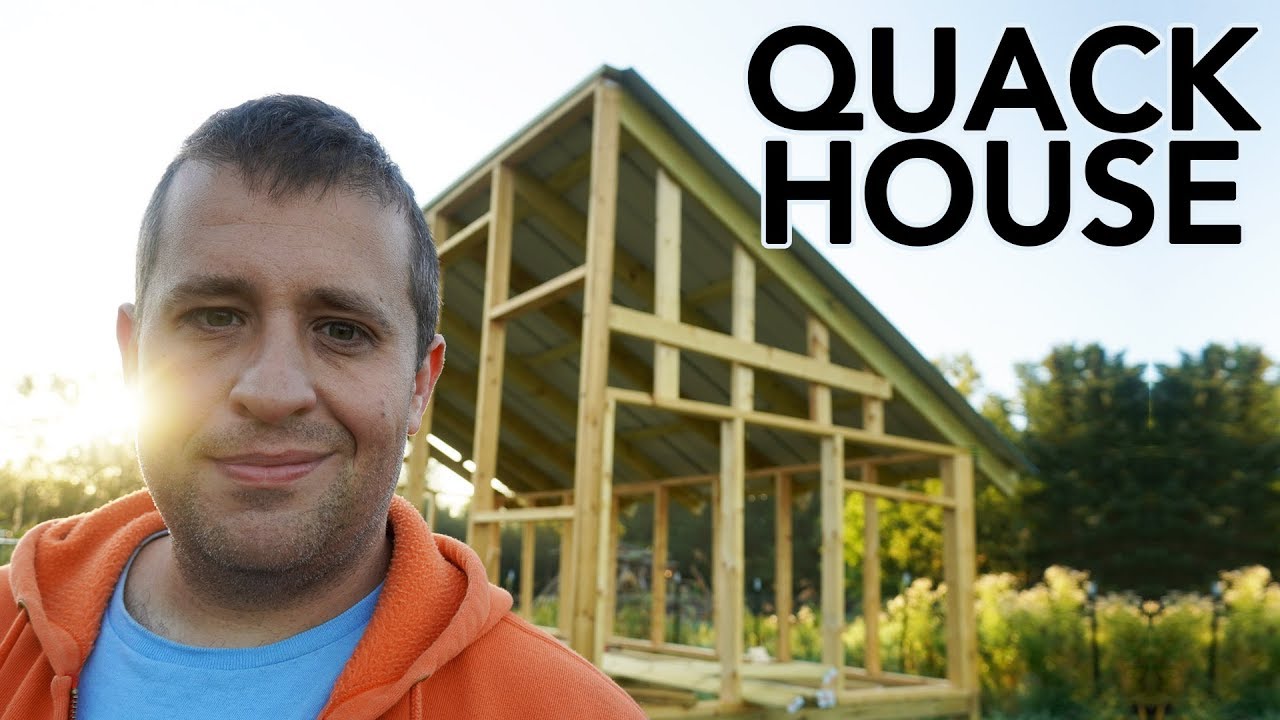 Designing a Predator-Proof Duck House for Gold Shaw Farm
