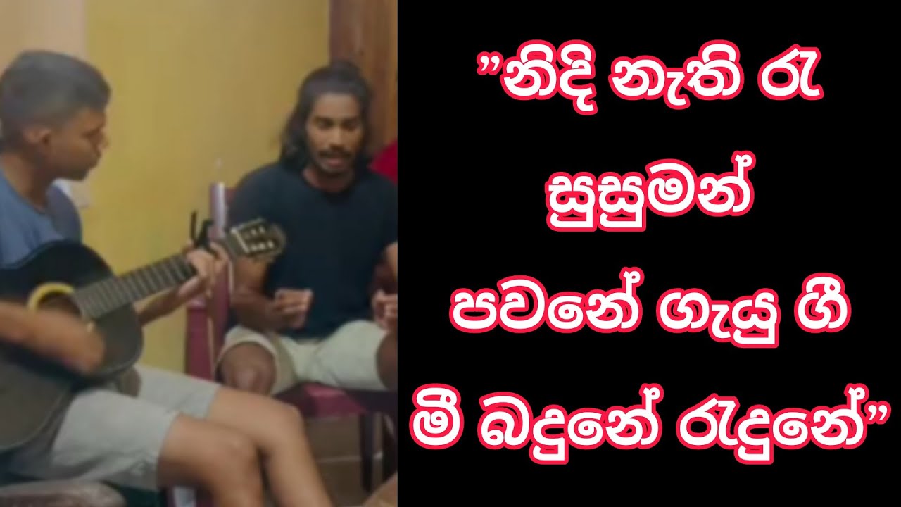 Meena Nuwan Yuga Cover by Lukshan Gamage 🎶