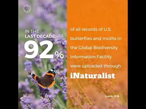 Citizen Science: Impact Stats 📊