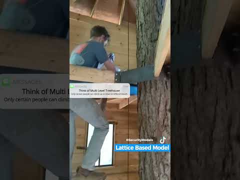 Lattice Based Security Model #cissp #latticesecurity #securitymodel #learncybersecurity