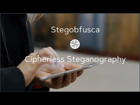 Stegobfusca  and Cipherless Steganography  - A Tritokreuz - Polyonom Design Concept