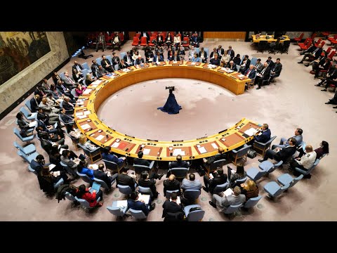 Cette bataille fratricide qui opposera l’Algérie au Maroc demain à New York