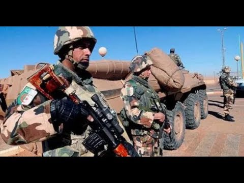 8 Terroristes Abattus à Khenchela 🛡️