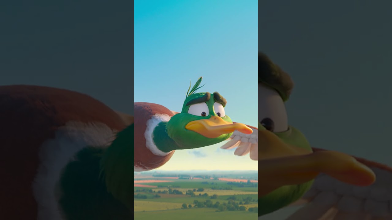 Oui, les oiseaux font ça...