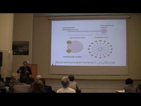 Корнильев И.Н. Организация проектно-исследовательской деятельности. Лекция с демонстрациями