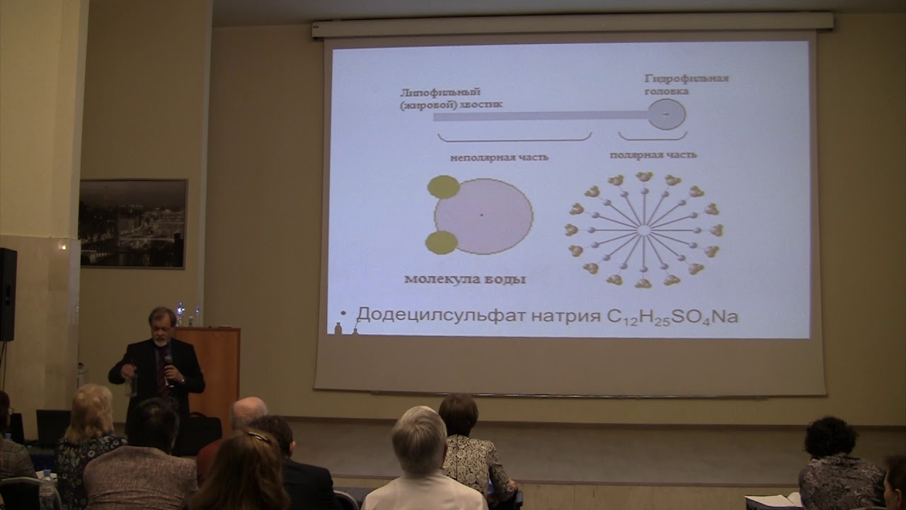 Организация проектно-исследовательской деятельности по физике: лекции и демонстрации 📚
