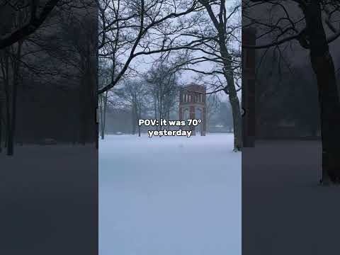 Illinois weather at its finest, am I right? 🥶 #snow #midwest #illinois