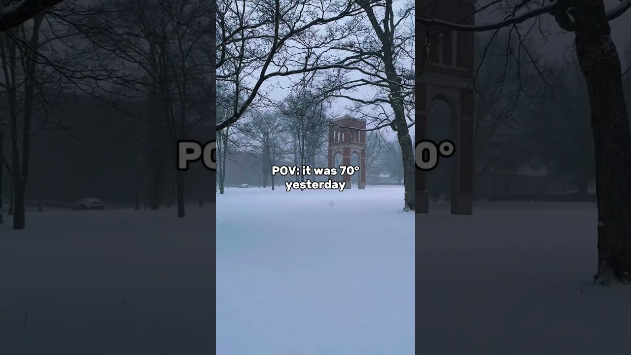 Experience Illinois' Stunning Winter Weather ❄️