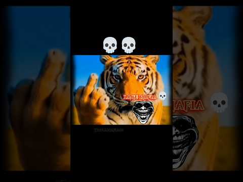 lage mafia kade jel #shorts #edit#mafia