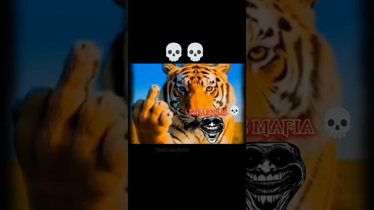 Lage Mafia Kade Jel? 🔥 Short Video