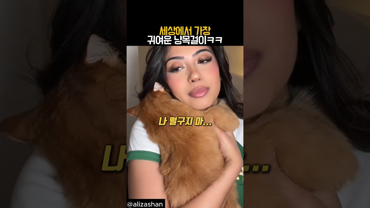 가장 귀여운 고양이 목걸이 😺