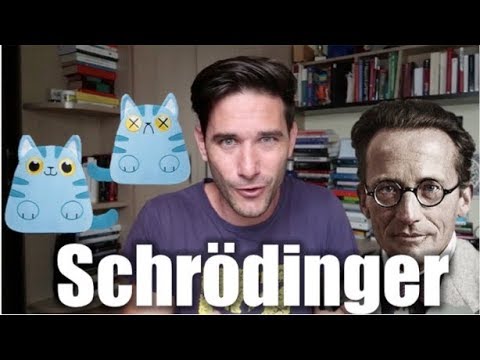 Erwin Schrödinger: La historia del genio científico 🧬