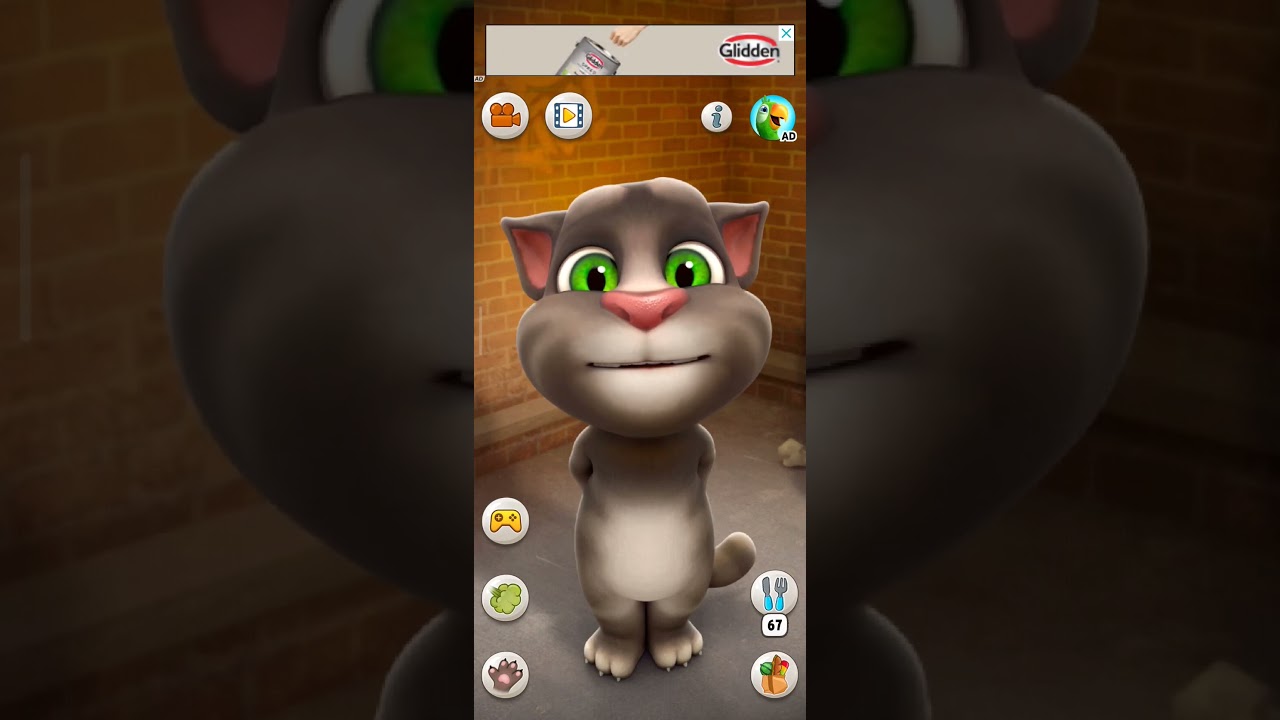 Hilarious Talking Tom Comedy Shorts 😂
