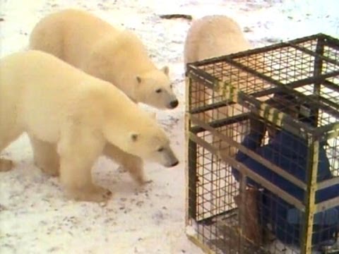 Krimi-Highlight: Sherlock Staffel 2, Folge 3 – Der Reichenbachfall & Die mutigen Kameraleute 🎥