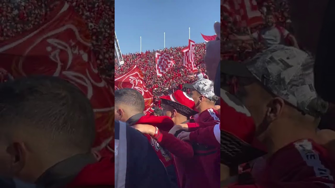 Wydad Fans' Electric Cheers π£οΈ