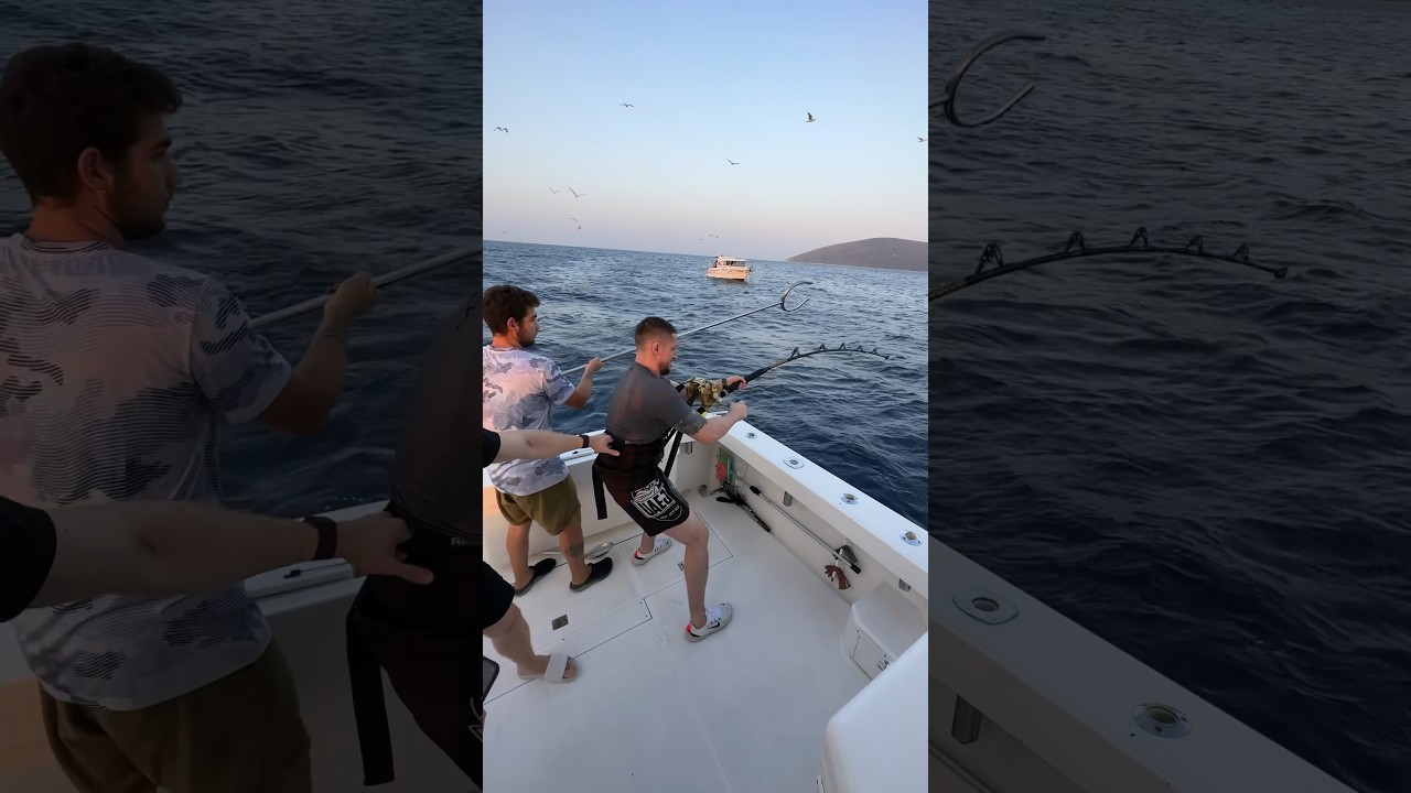 Шокирующая история: рыба утащила человека в воду! 🎣