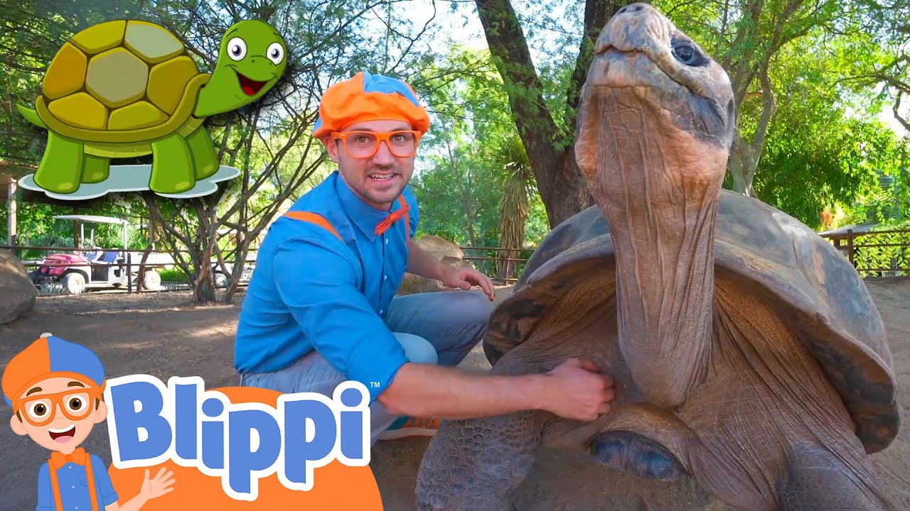 Blippi's Zoo Adventure & Animal Learning 🦁