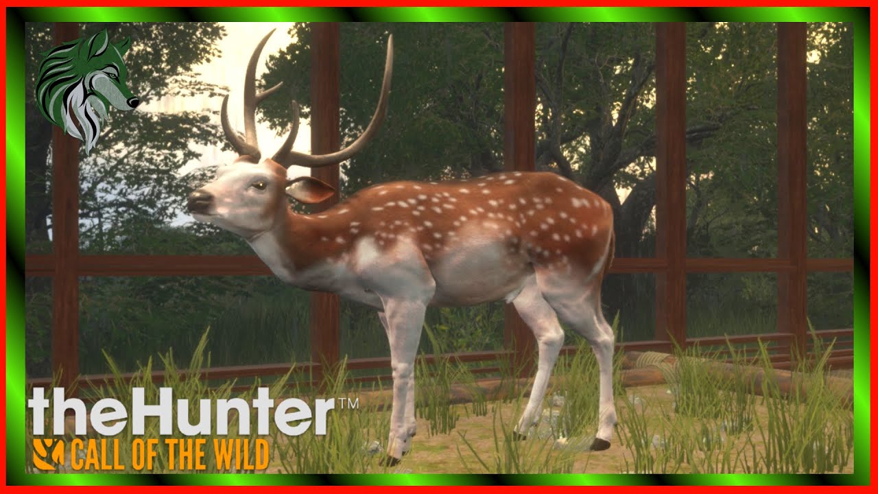 DIAMOND PIEBALD AXIS DEER??? theHunter Call Of The WIld