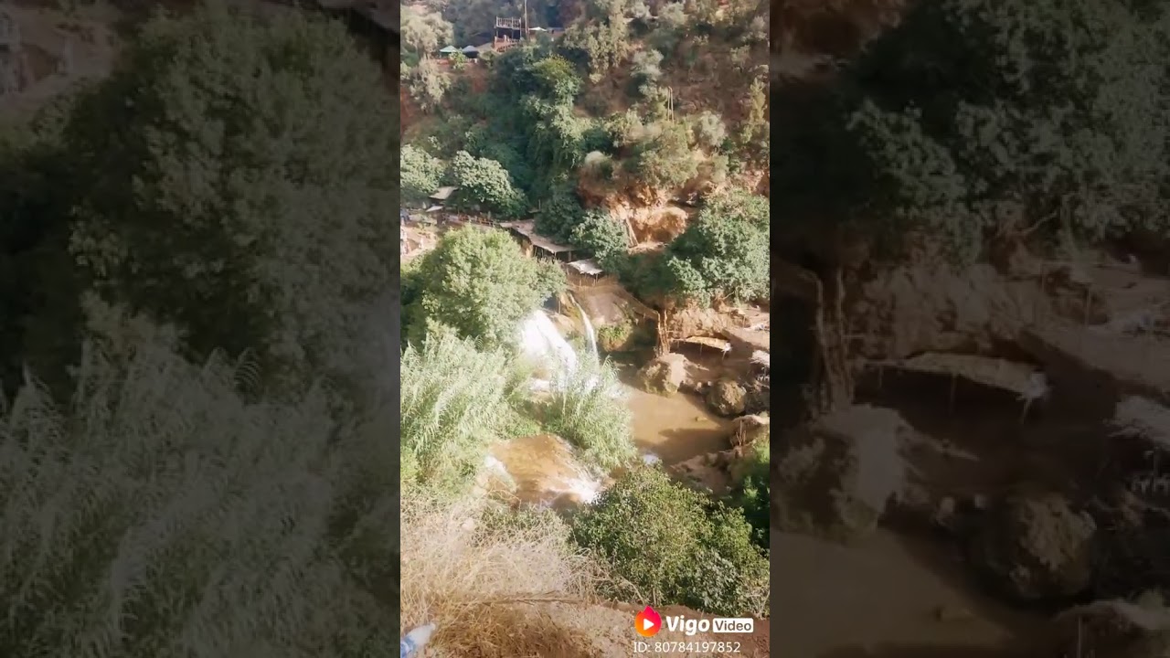 Ahmed Daoud - Profile Overview