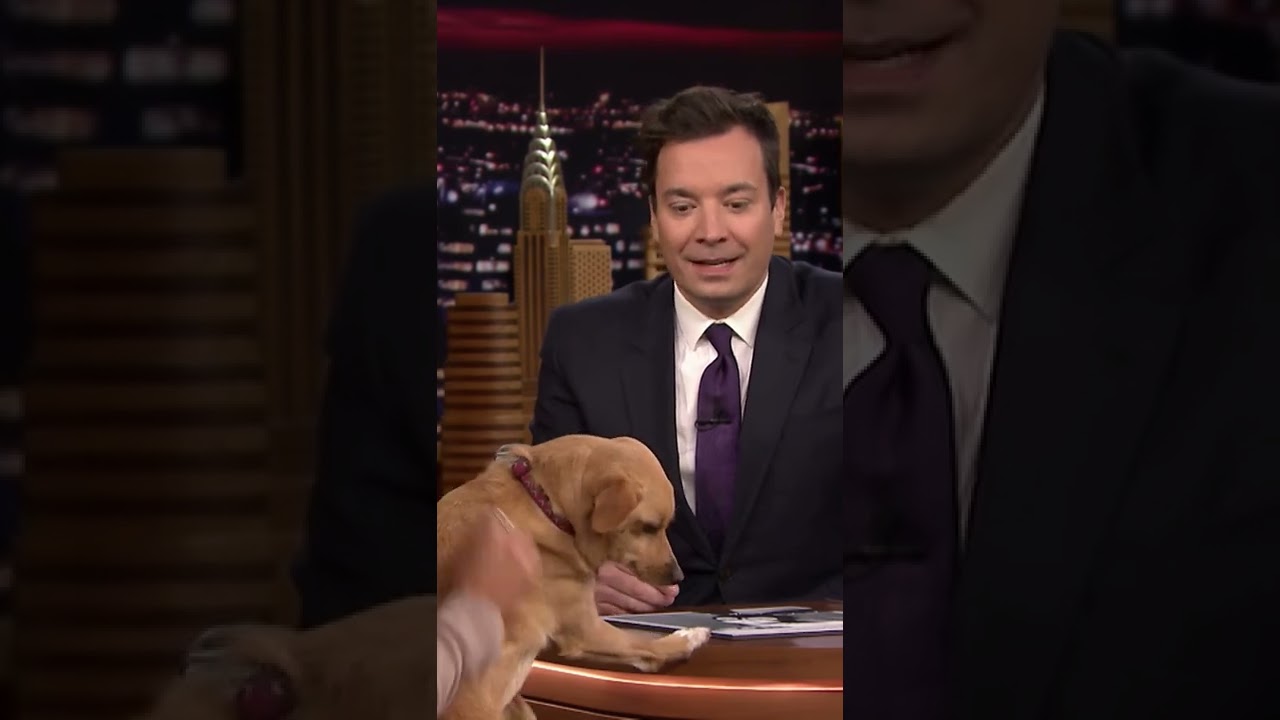 Ariana Grande’s Dog Toulouse Crashes Studio 6B 🐶