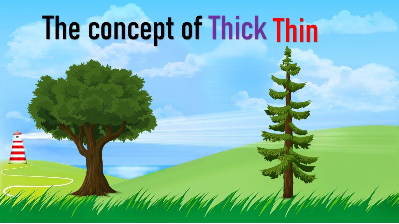Thick and thin concept for kids |Comparison of thick and thin for kids|pre-math concepts