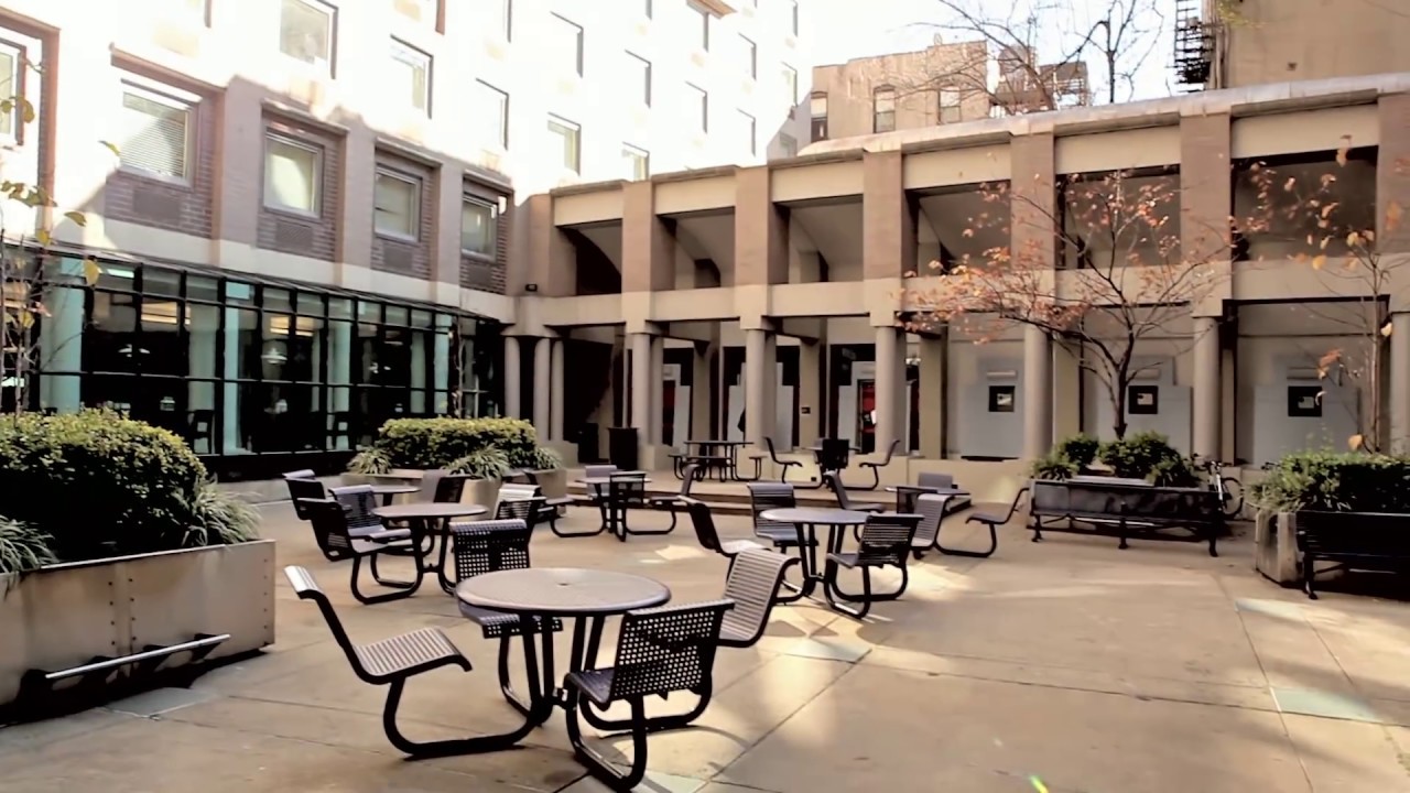 Third North: NYU First-Year Residence Tour π«