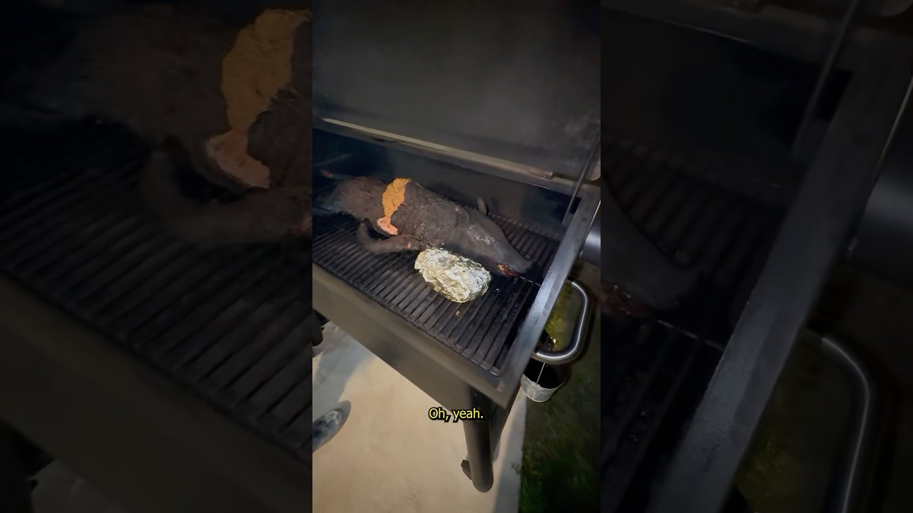 Backyard Dinner Hunt 👌🏻