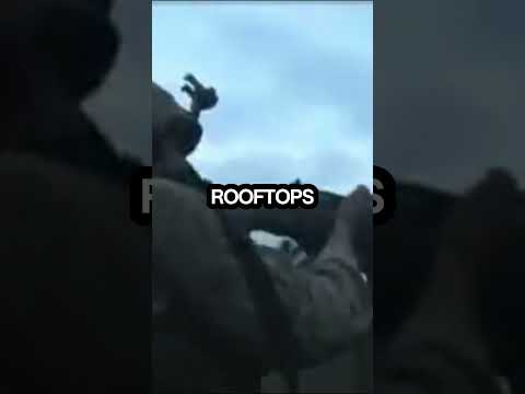 Secret of Marines Who Never Lost a Fight #shorts #usmarines #marinecorps #fallujah #iraqwar #militar