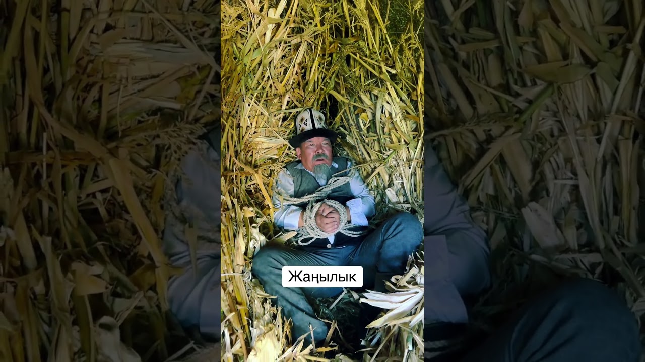 Чал😀 #актеры #rek #кино #юмор #клип #прикол #шоумен #тамаша #фильм