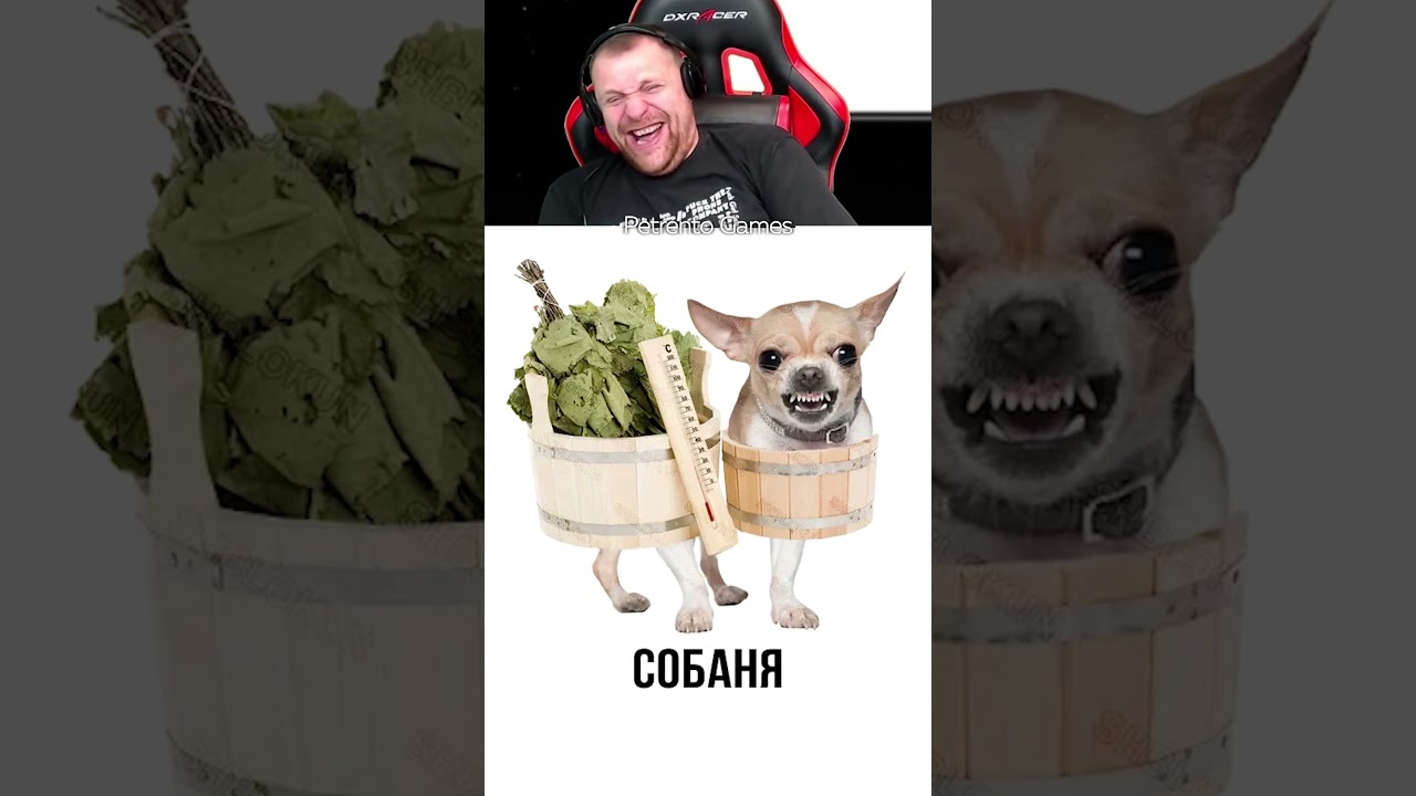 Петренто Батутка  #приколы #петренто #прикол