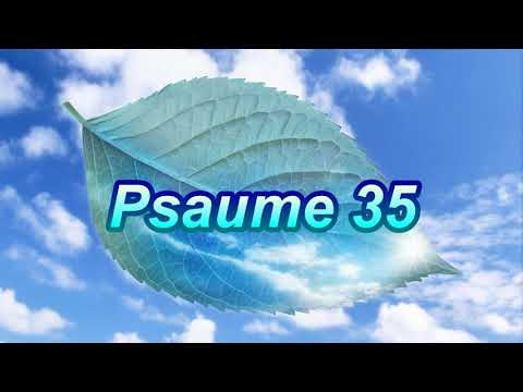 Psaume 35 - Soutenez la chaîne via PayPal ❤️