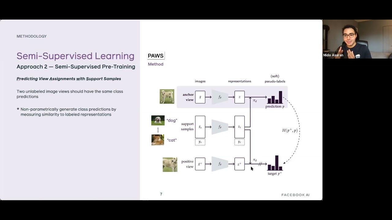 PAWS: Semi-Supervised Visual Feature Learning 🐾