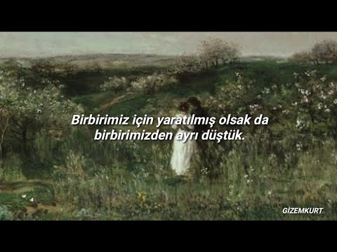 Rahat Fateh Ali Khan - Teri Meri ft. Shreya Ghoshal (Türkçe Çeviri)