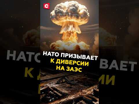 Разведка РФ: НАТО призывает к диверсии на ЗАЭС! #украина #россия #нато #заэс #новости #сво #политика