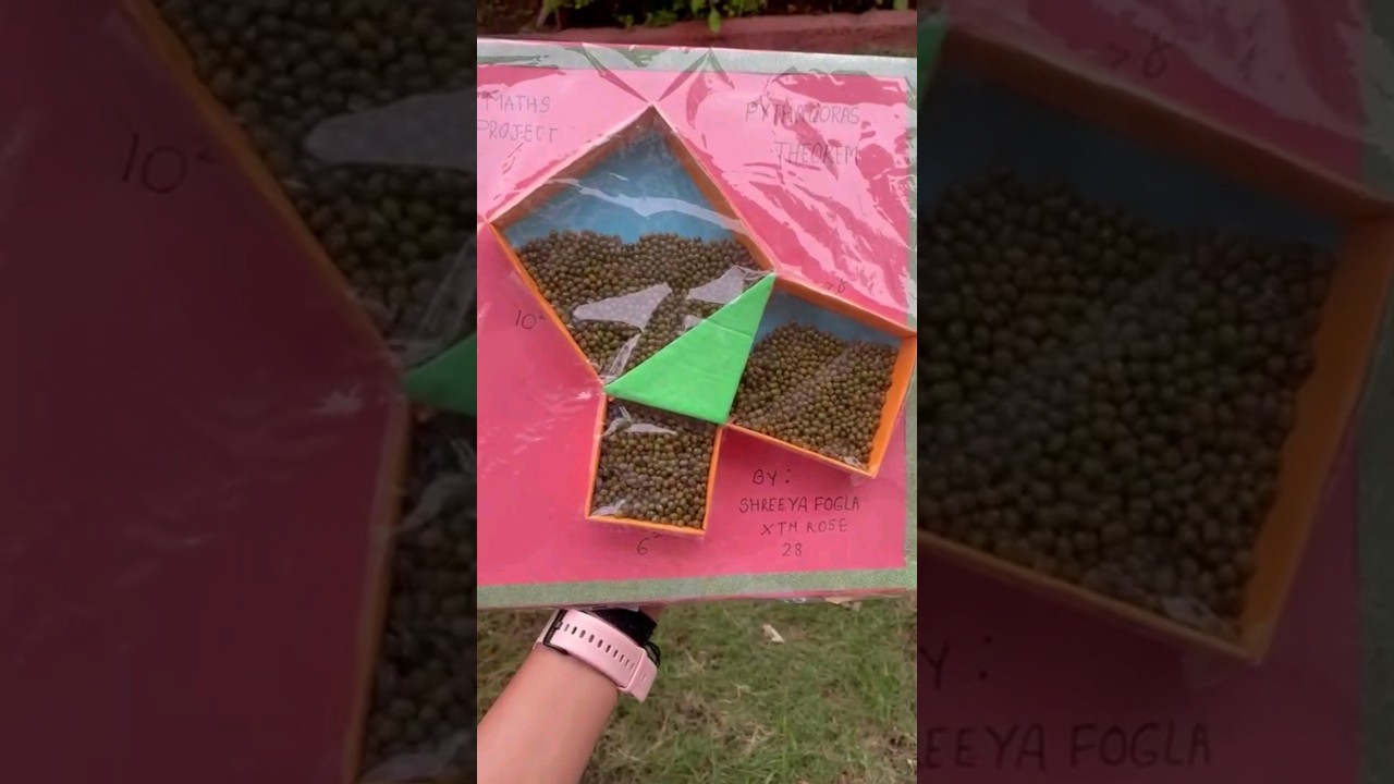 Engaging Pythagoras Theorem Project for Class 9/10 📐 | Easy Math Craft Ideas