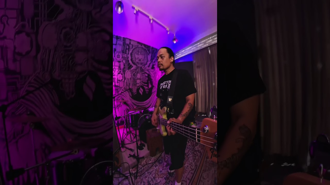 Blink-182 - Always Bass Cover ๐ธ